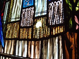 christchurch -1515.jpg